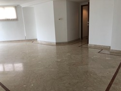 Leedon 2 (D10), Condominium #171556552